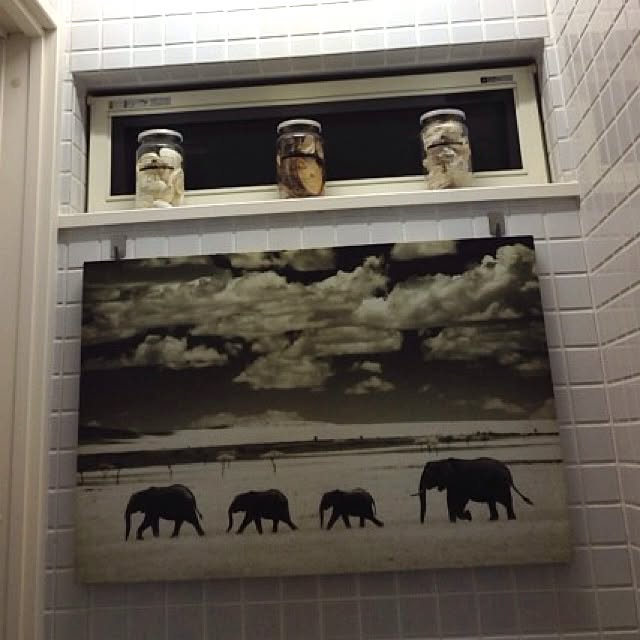 Komanechi.aさんの実例写真