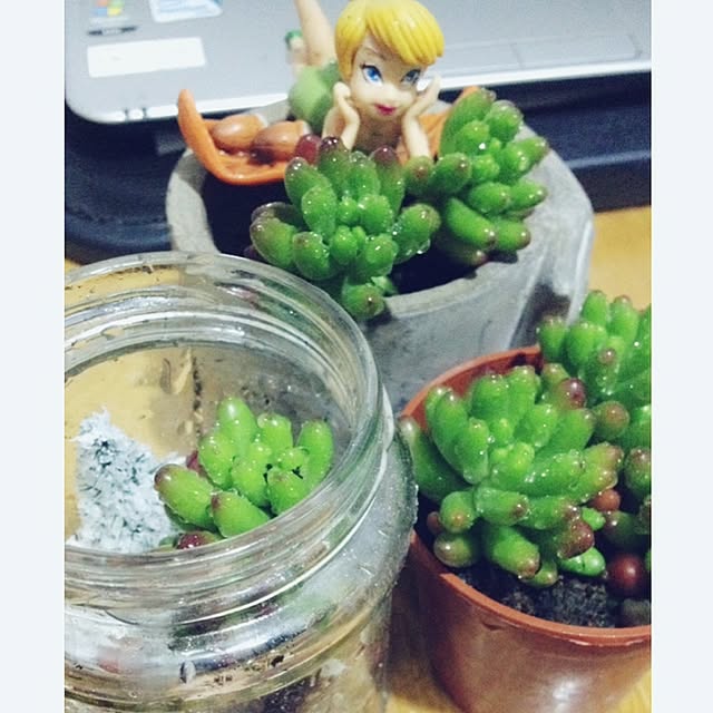 実例写真