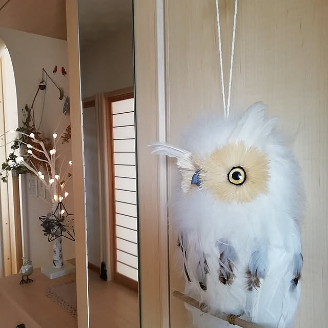 hm99さんの実例写真