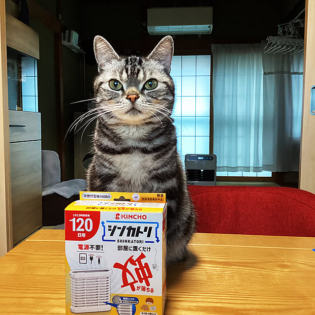richanさんの実例写真