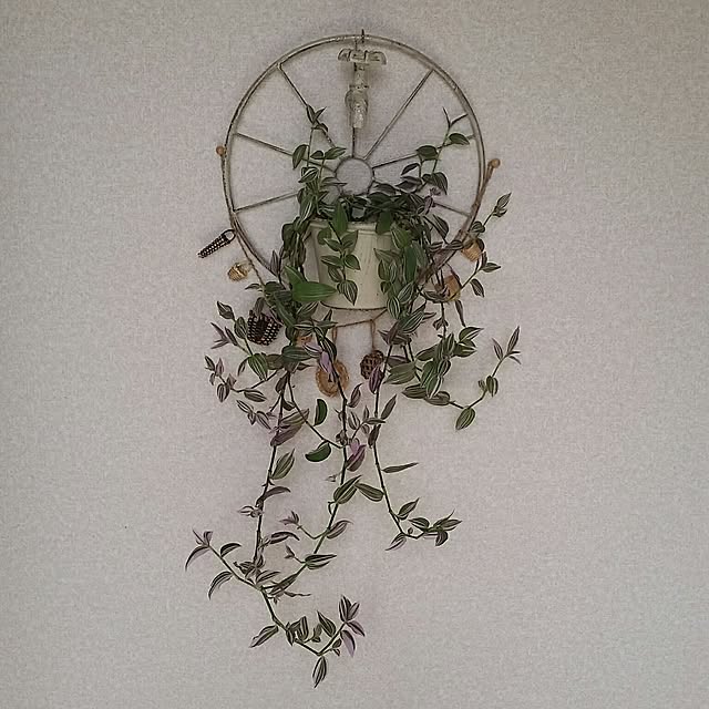 nia1213さんの実例写真