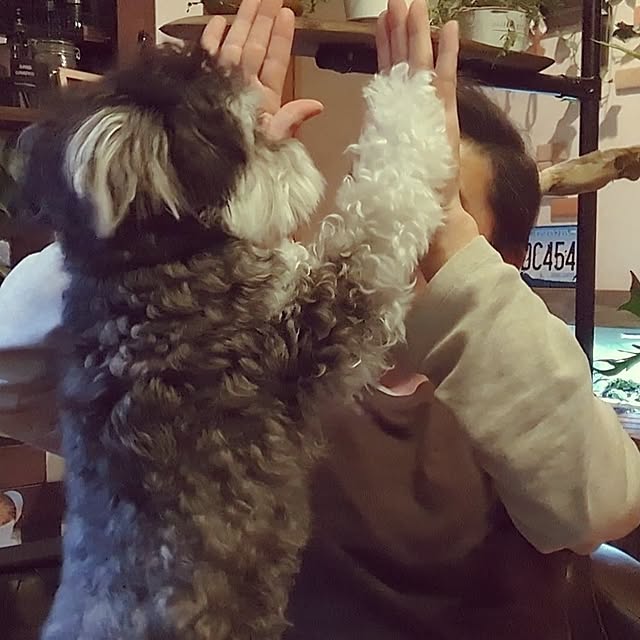 GINさんの実例写真