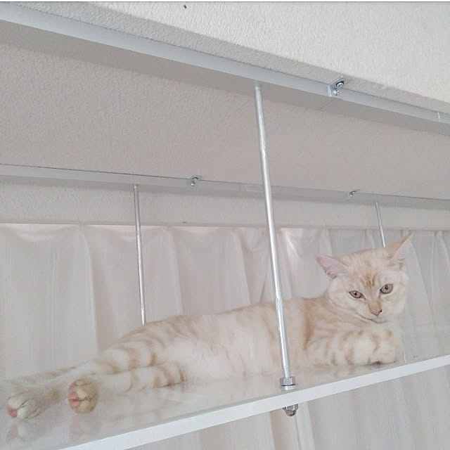 heart.emiemi57.whiteさんの実例写真