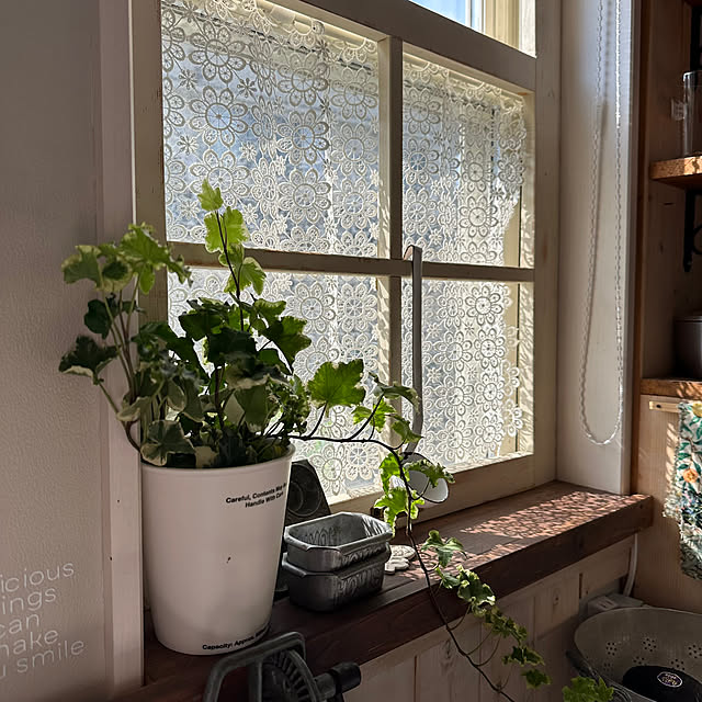 kokkomachaさんの部屋