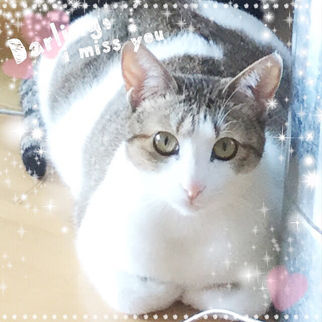 eucharisさんの実例写真