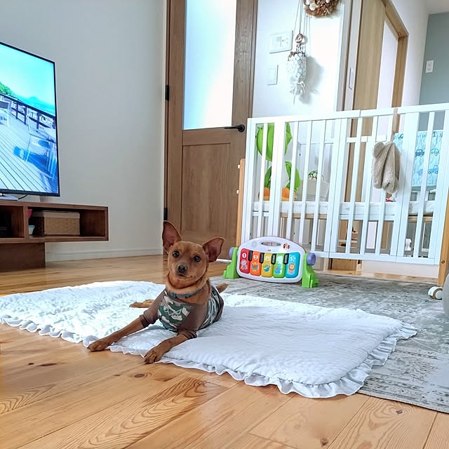 ri-eさんの実例写真