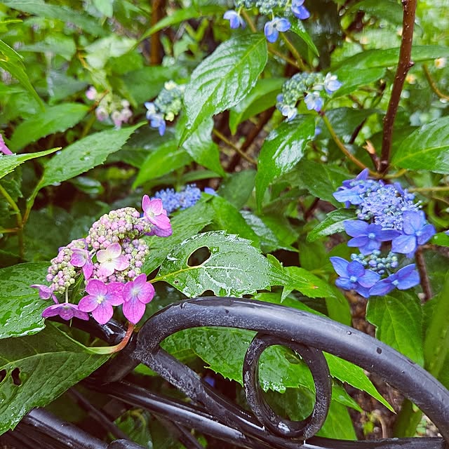 mocomocoさんの部屋