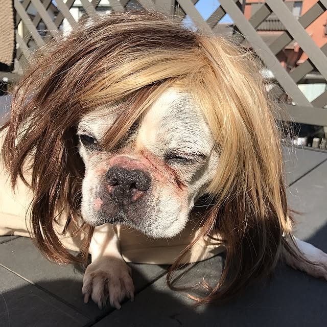 misamariさんの実例写真