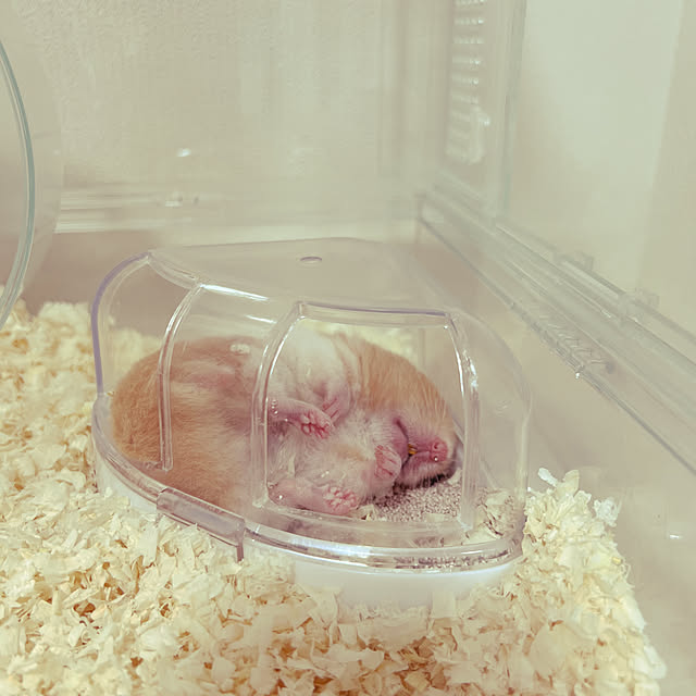 kasさんの実例写真