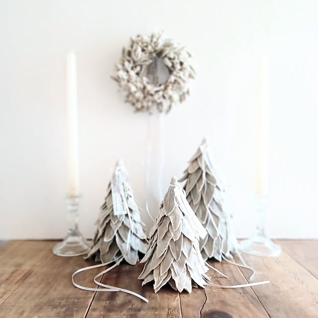 shituraeさんの実例写真