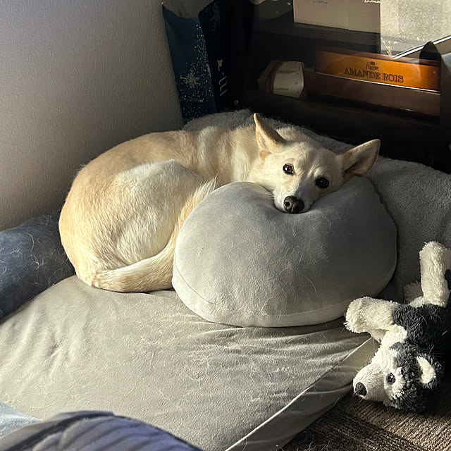 tanboさんの部屋