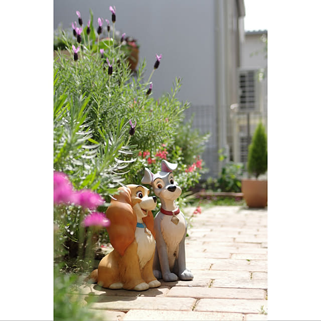 Shooowkoさんの実例写真