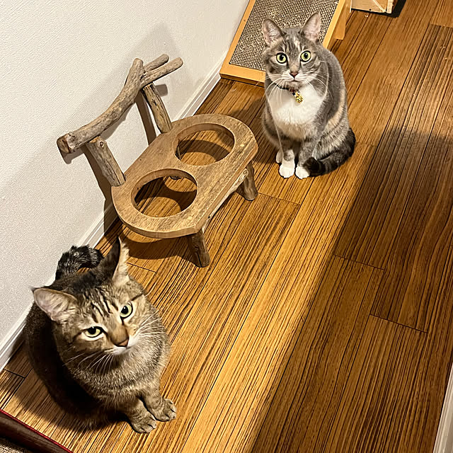 yoshibuさんの実例写真