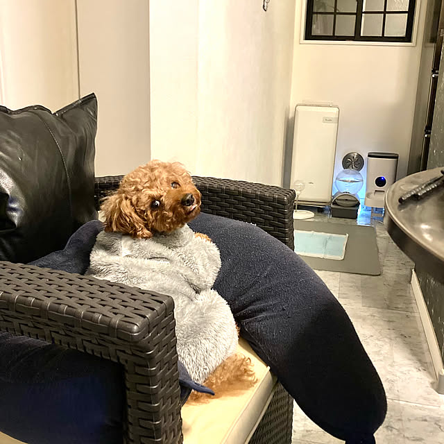 MOMOMAMAさんの実例写真