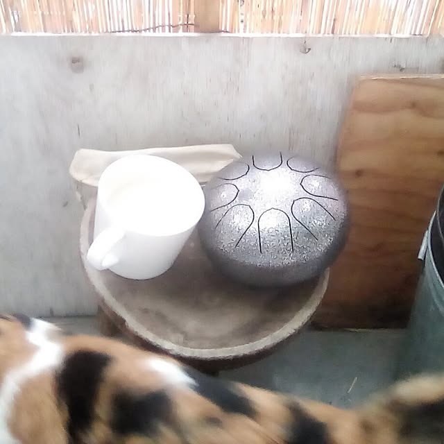 catloveさんの実例写真