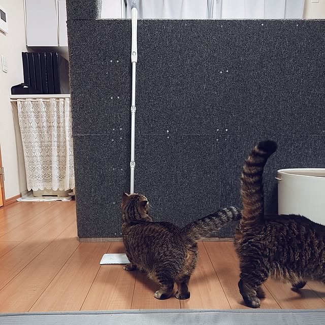 noguriさんの部屋
