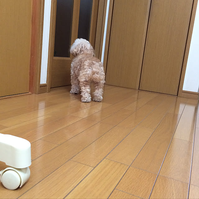 kimura-sさんの実例写真