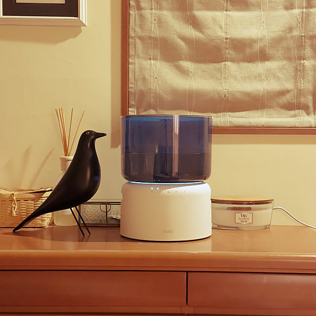 noraさんの実例写真