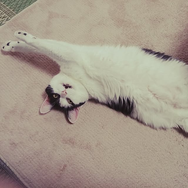 Mikiさんの実例写真