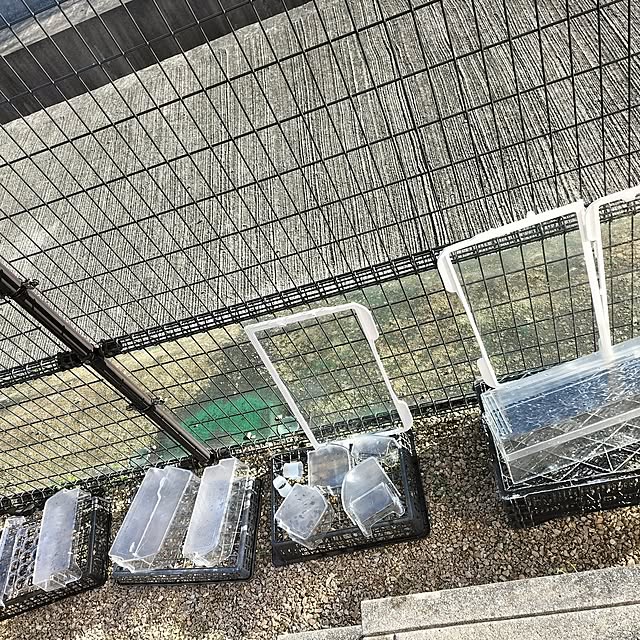 feuileさんの部屋