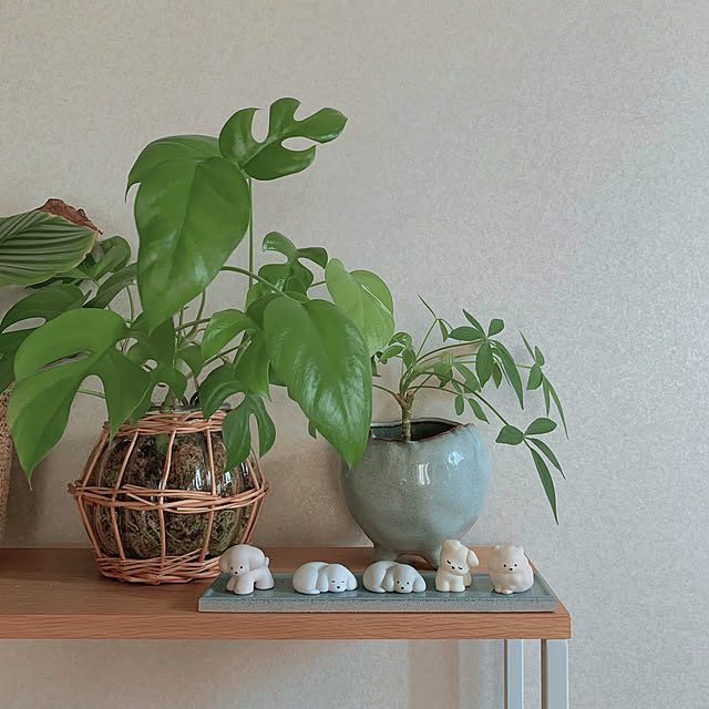 nao.roomさんの実例写真