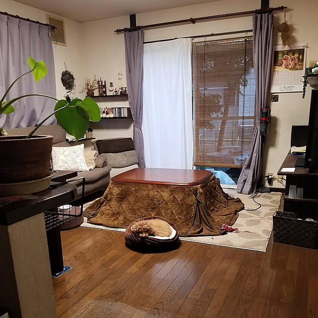 midoriさんの実例写真