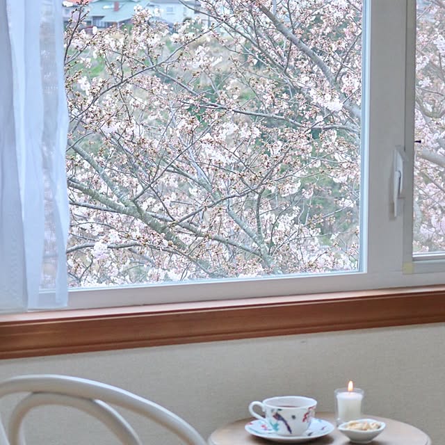 graceさんの実例写真