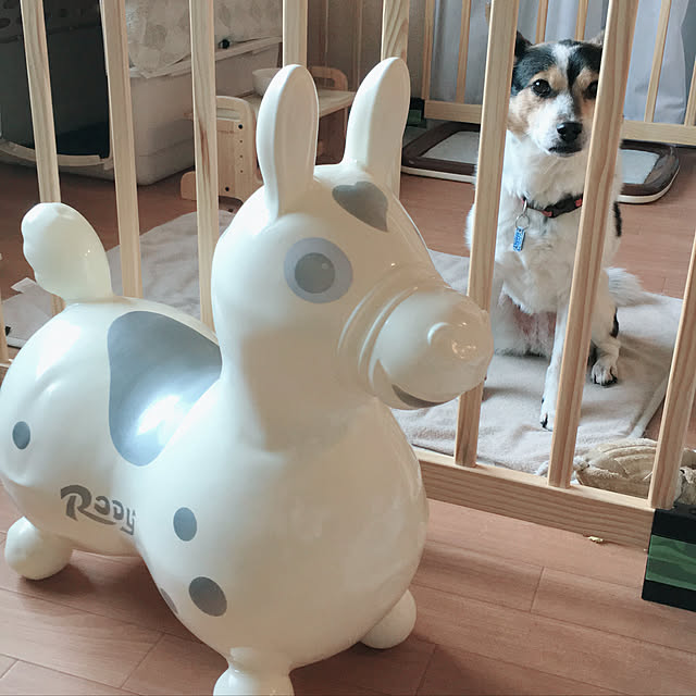 moguさんの実例写真