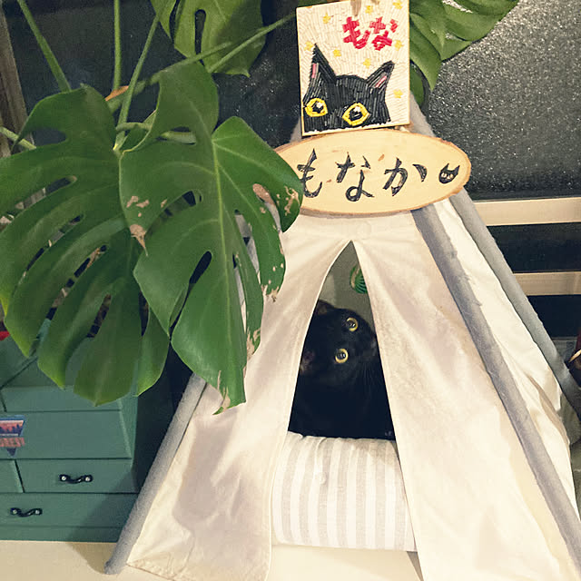 suemonta14さんの部屋
