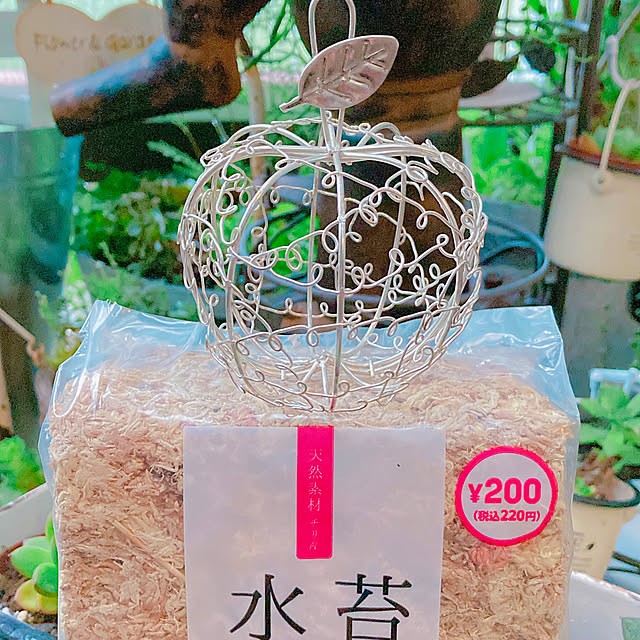Hanakaさんの部屋