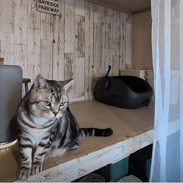 lovepeaceさんの部屋