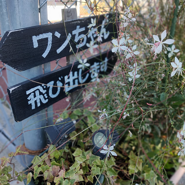 ponhanaさんの実例写真