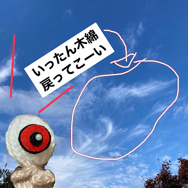 manduonmaさんの実例写真