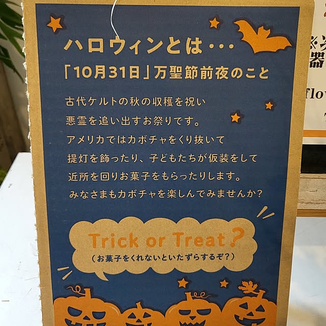 lovesspongebobさんの部屋
