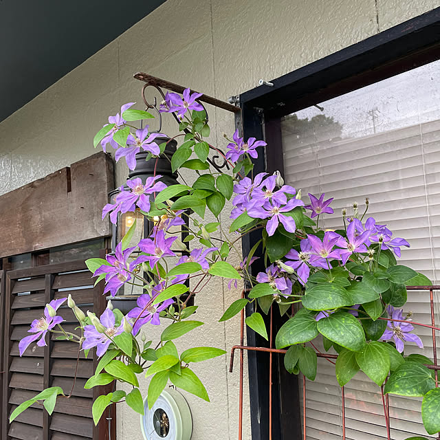 shin0719さんの部屋