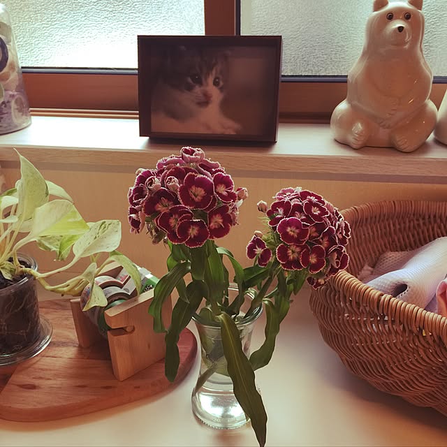 HARUさんの実例写真