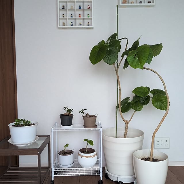 tan5さんのお部屋の写真