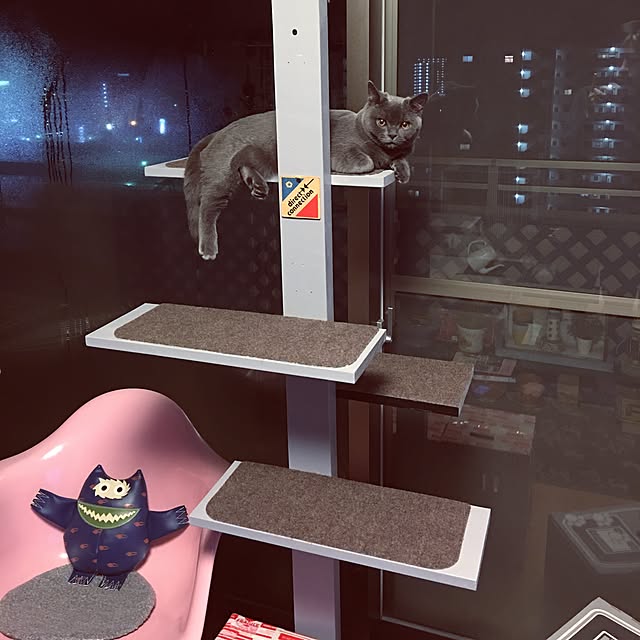 Shojiさんの実例写真