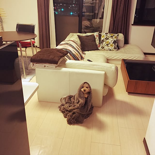poohkunさんの実例写真