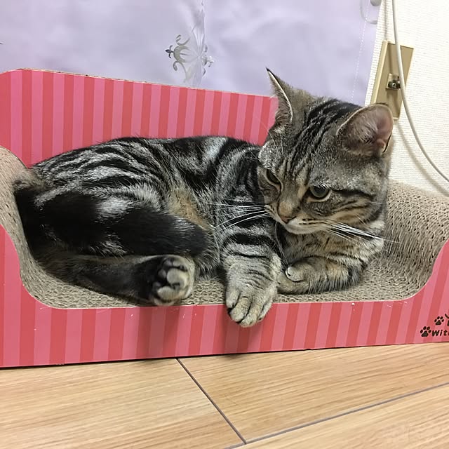 tomommyさんの実例写真
