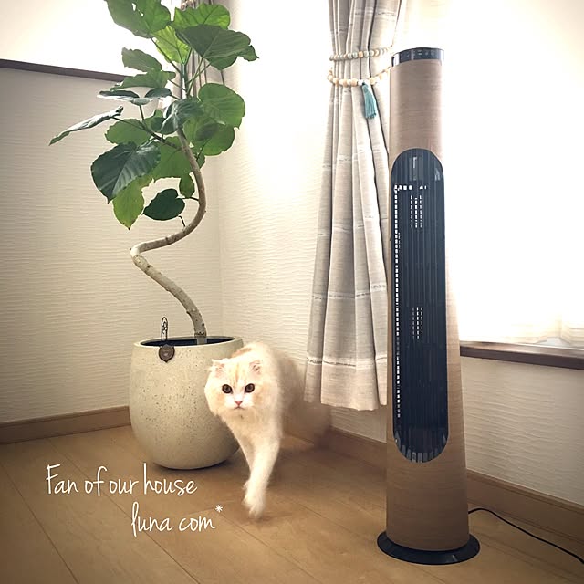 luna.comさんの実例写真