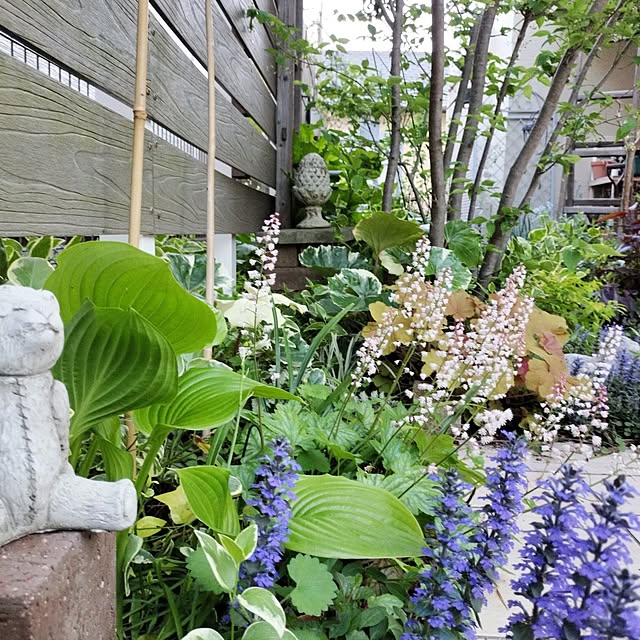 chocoさんの部屋