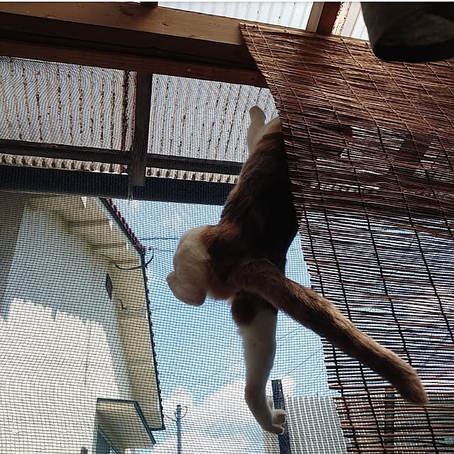 fukuさんの部屋
