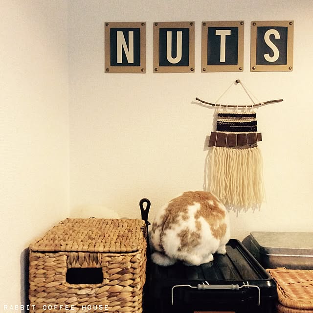 nutsさんの実例写真