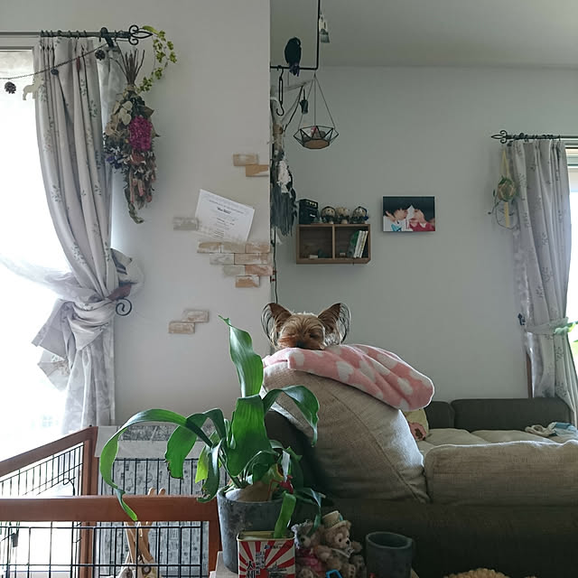 akiさんの実例写真