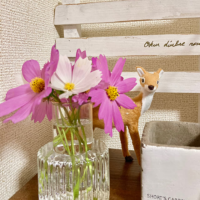 y---iさんの部屋