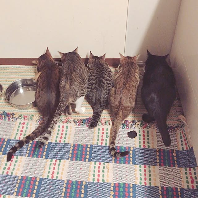 be-mineさんの実例写真