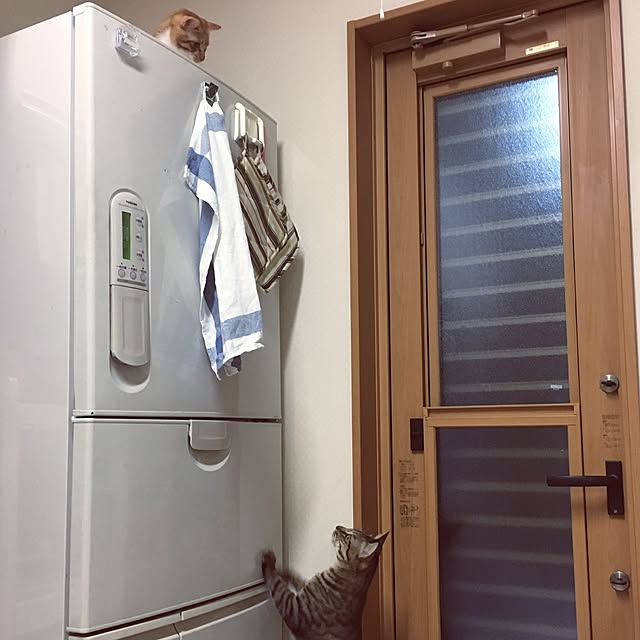 baronkotarouさんの実例写真