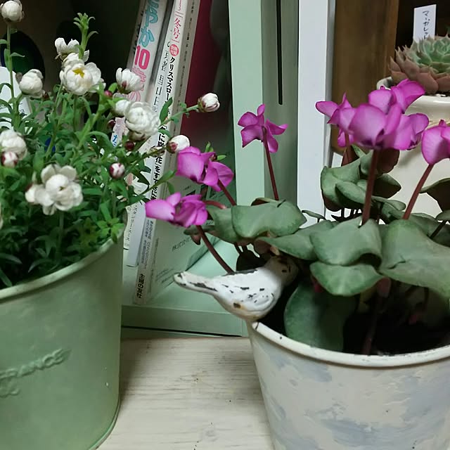 asaki848さんの実例写真