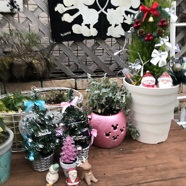 yuki89さんの実例写真